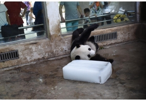 �人36�ȸ��� ����è��������������....